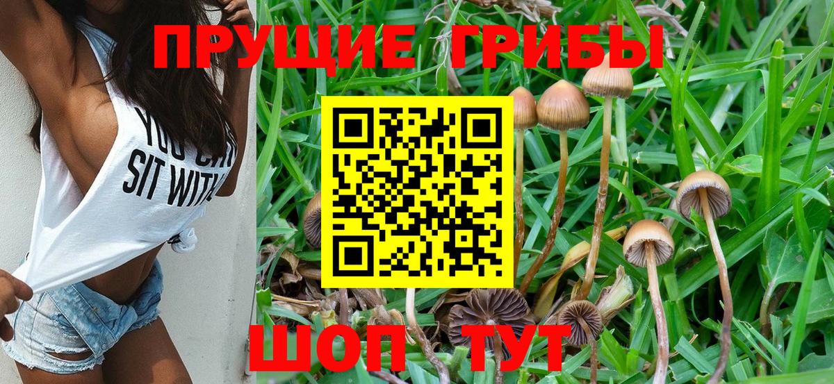 Галлюциногенные грибы Psilocybine cubensis  Вход с VPN  Уссурийск 